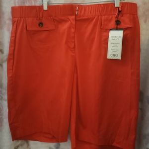 New with tags Cato size 20W shorts